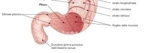 Carcinoma dello stomaco. - Prof. Francesco Di Costanzo, 